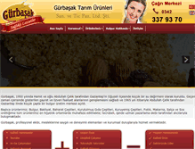 Tablet Screenshot of gurbasak.com